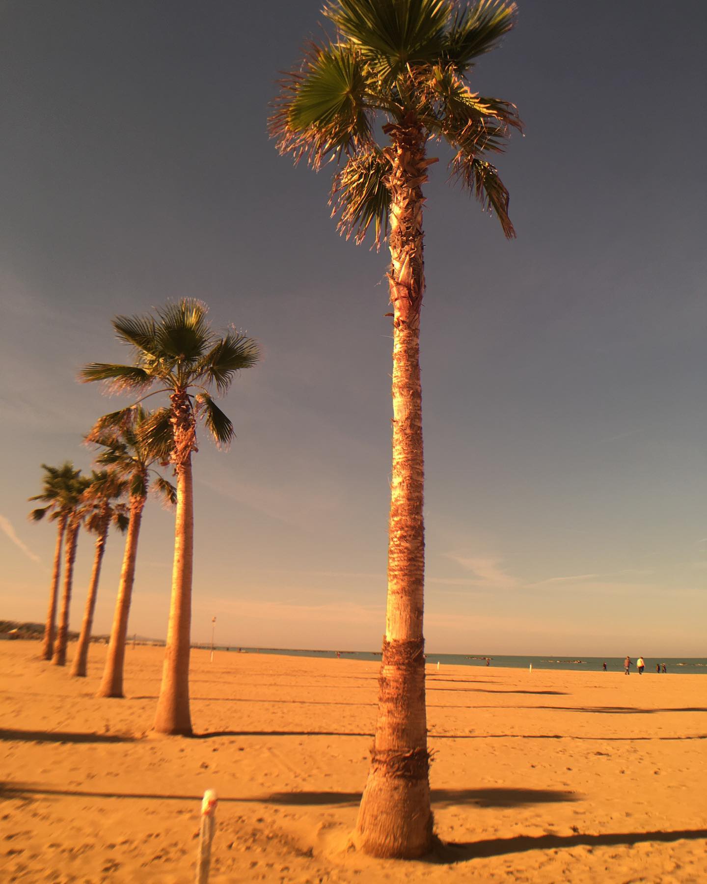 Winter portrait with beanie