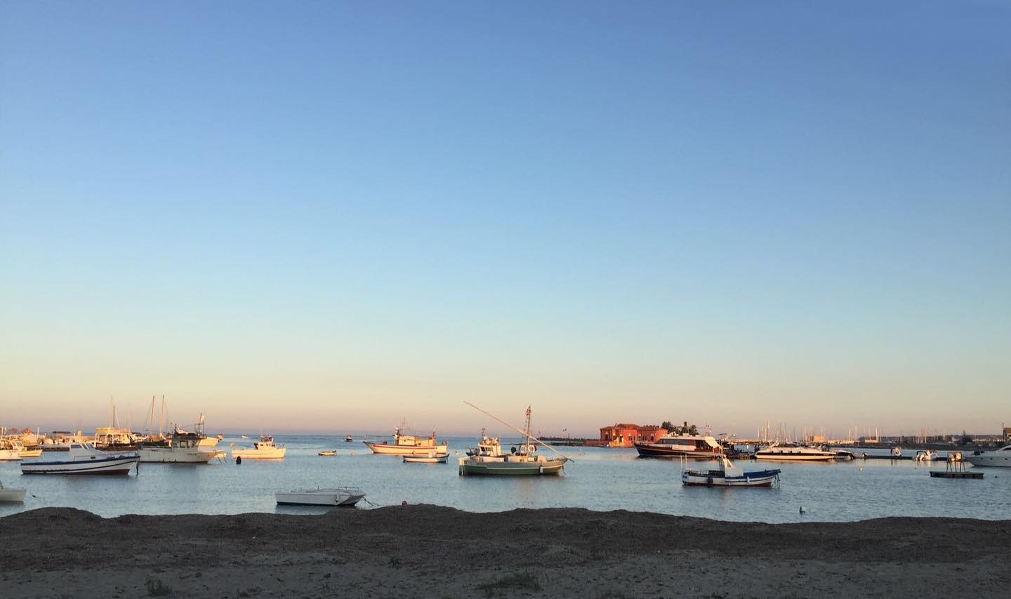 Palm trees on sunset beach